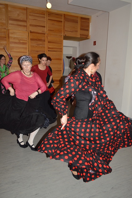 Flamenco Ⓒ FRIEDA