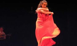 Flamenco Ⓒ Andrea Blau